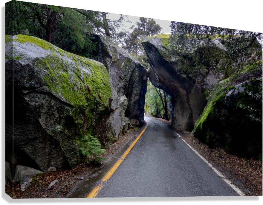 Yosemite Hole in One Canvas Print