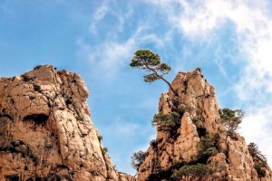 French Riviera Cassis the Massif des Calanques