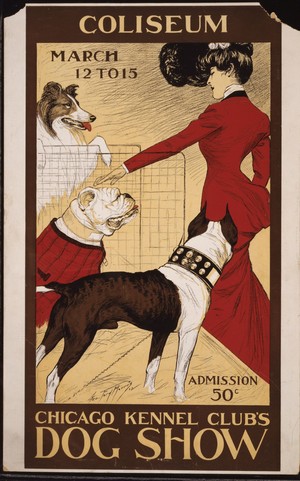 Dog Show 2