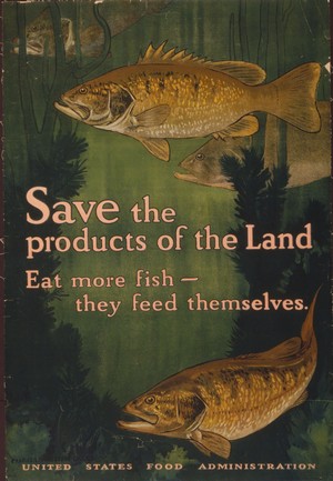 Save the fish