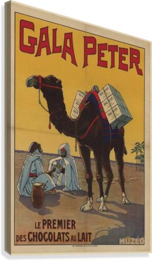 Gala Peter Canvas Print
