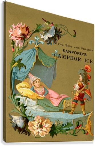 Sleeping Beauty Illustration Graphics Fairy Vintage Poster  Canvas Print