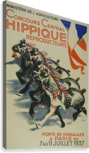Concours Central Hippique Poster Canvas Print