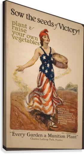 Sow the seeds of victory  Canvas Print