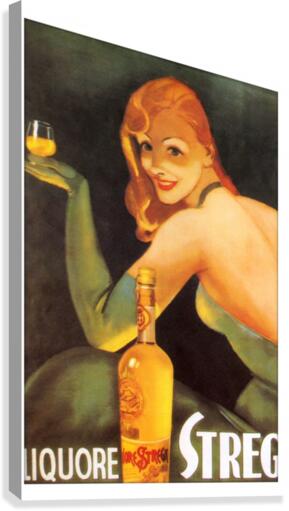 La Donna in Verde poster  Canvas Print