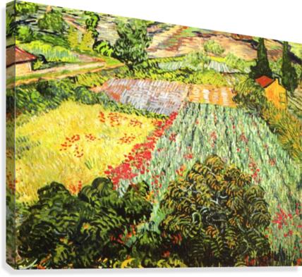 Blooming Field Canvas Print