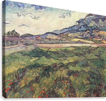 Green wheat field Canvas Print