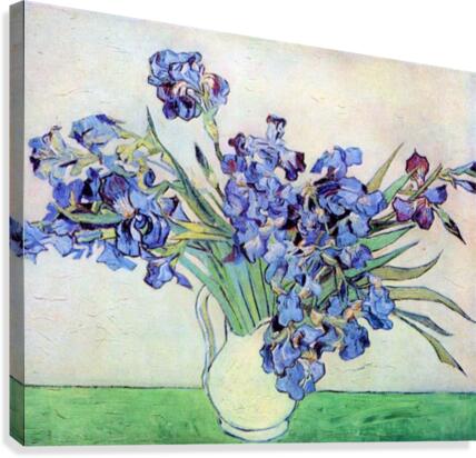 Irises 2 Canvas Print