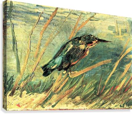 Kingfisher Canvas Print