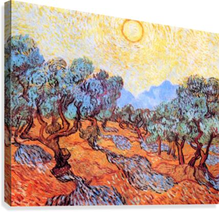 Olive Grove Canvas Print