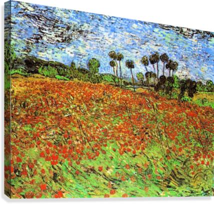 Poppy Fields Canvas Print