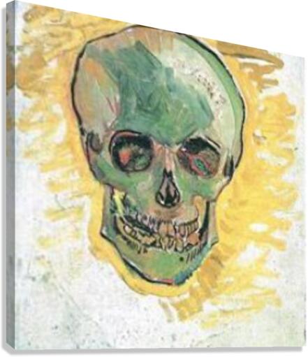 Skull Canvas Print