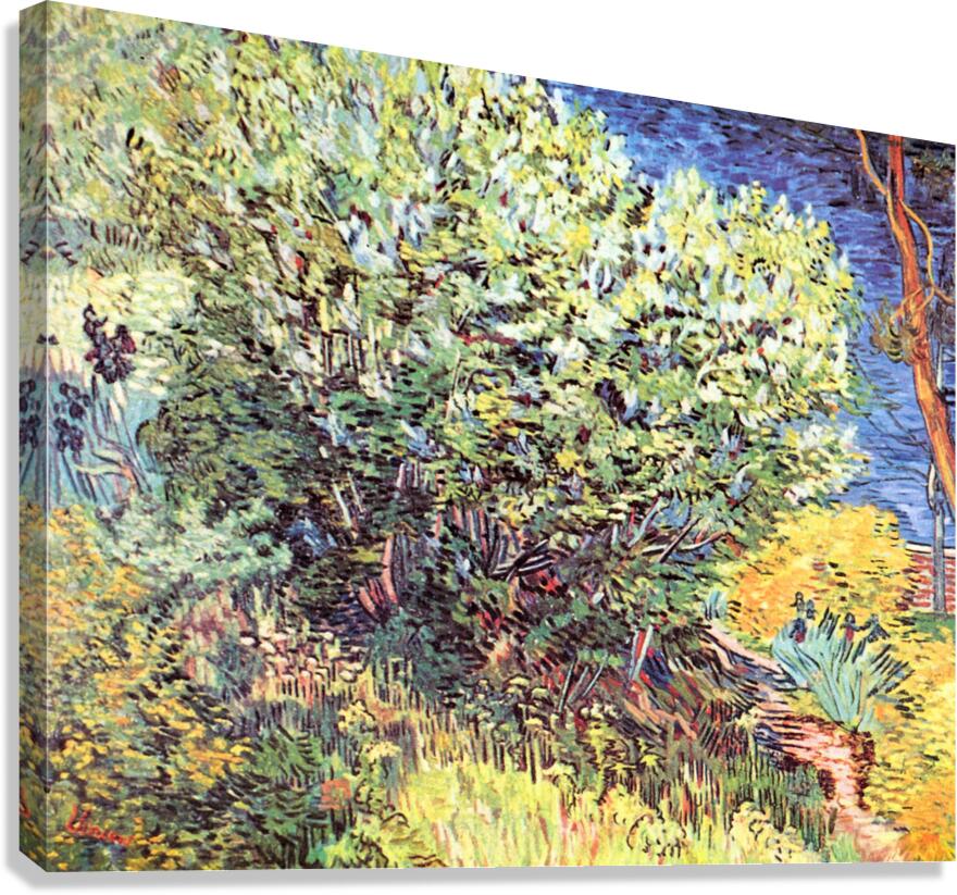 The bush Canvas Print