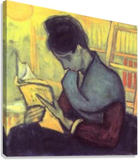 The novel reader Canvas Print