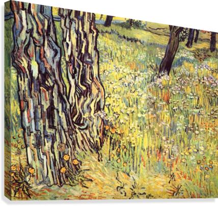 Tree trunks Canvas Print