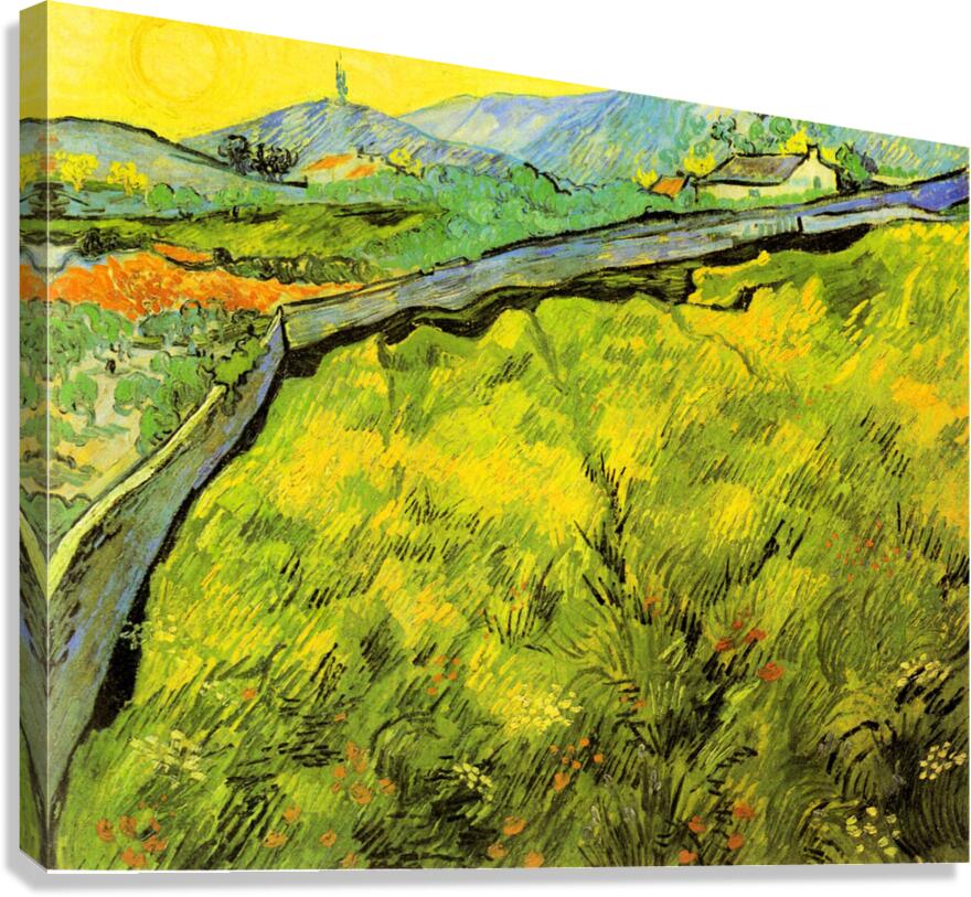 Wall Canvas Print