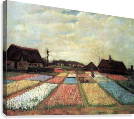 Bulb Fields Canvas Print