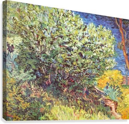 Slip Away Canvas Print