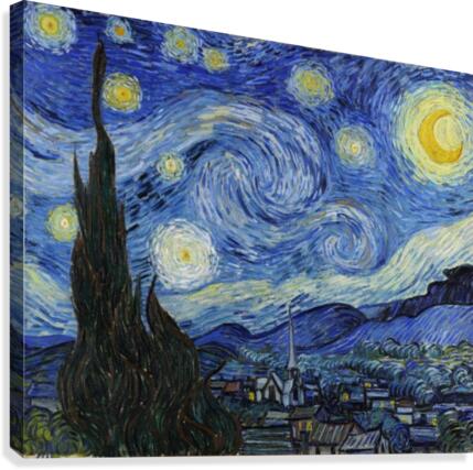 Starry Night Canvas Print