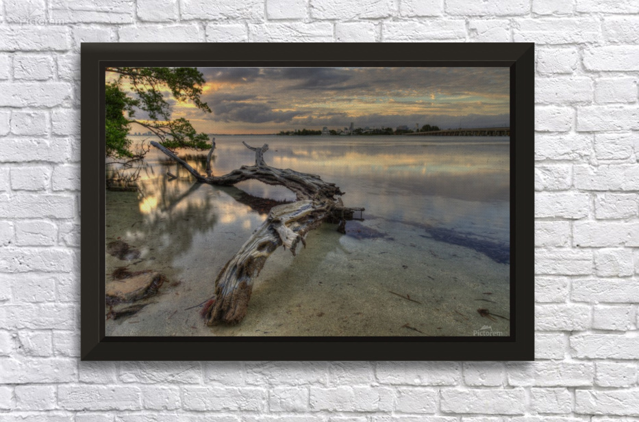 Dead Tree At Sunset Alex Galiano Canvas