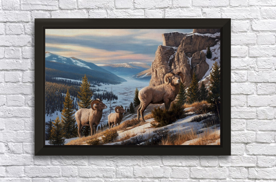 Western Beauty Canvas Crb Canvas