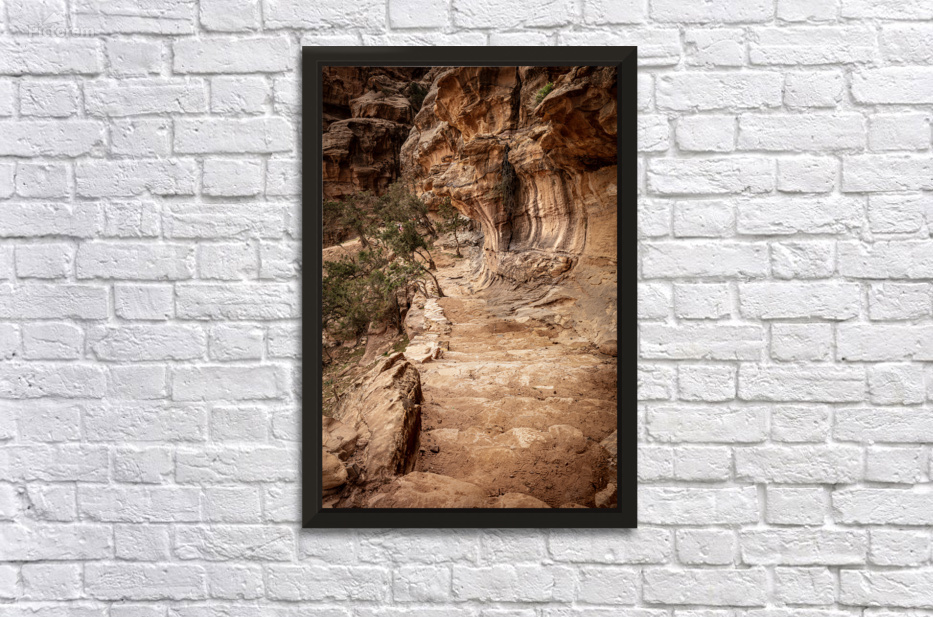 Colorful sandstone canyon walls winding through the siq al barid by Gualtiero Boffi