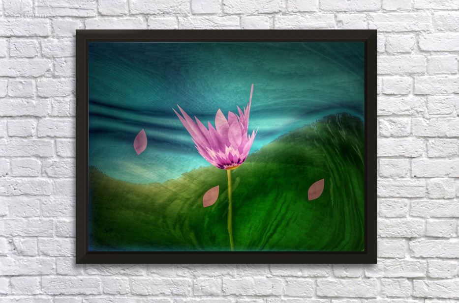 Cherry Blossom Bliss by Arrow3650