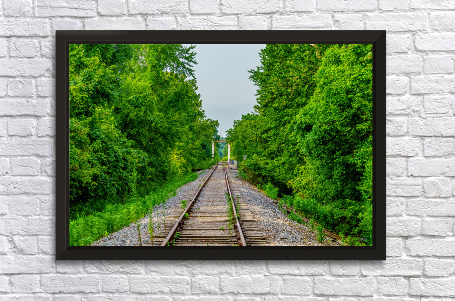 Ozarks Abandoned Railroad Tracks by Jennifer White