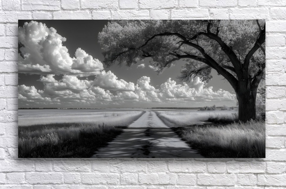 Prairie Road - Monochrome Landscape Art Prints by Savage Art Prints