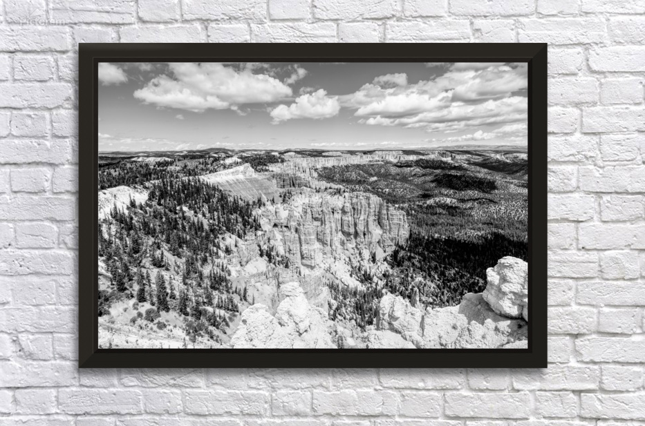 Sunlit Hoodos Bryce Canyon Rainbow Point Grayscale by Jennifer White