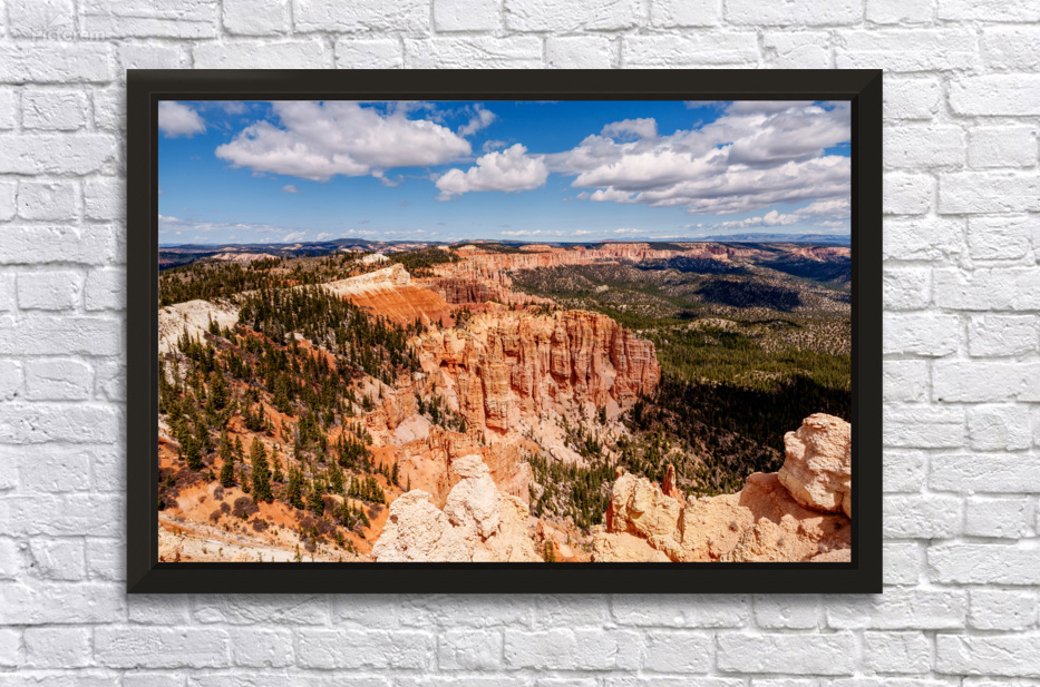 Sunlit Hoodoos Bryce Canyon Rainbow Point by Jennifer White