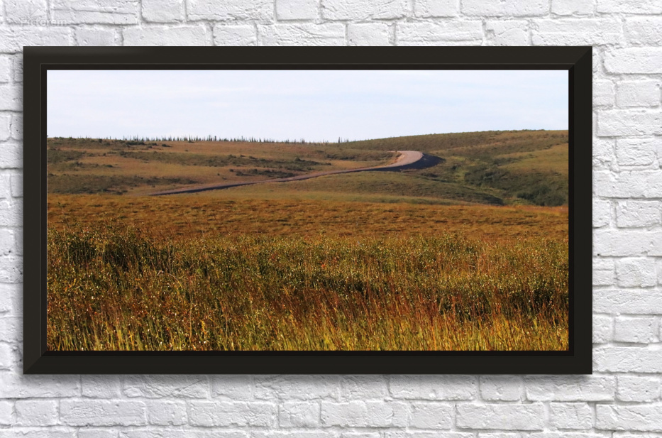 Road From Inuvik To Tuktoyaktuk by Deb Oppermann