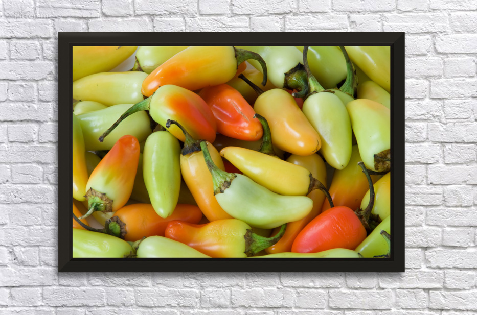 A Fiery Mix of Colorful Peppers by Bo Insogna