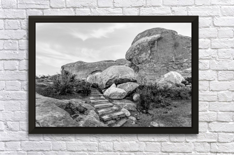Pathway To Glow Through South Window Grayscale by Jennifer White
