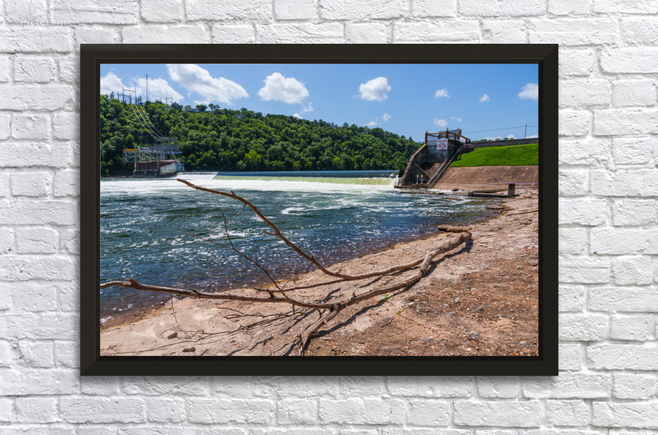 Tree Limb By Forsyth Missouri Dam by Jennifer White