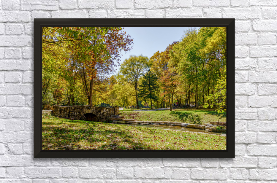 Golden Fall Foliage By The Bridge by Jennifer White