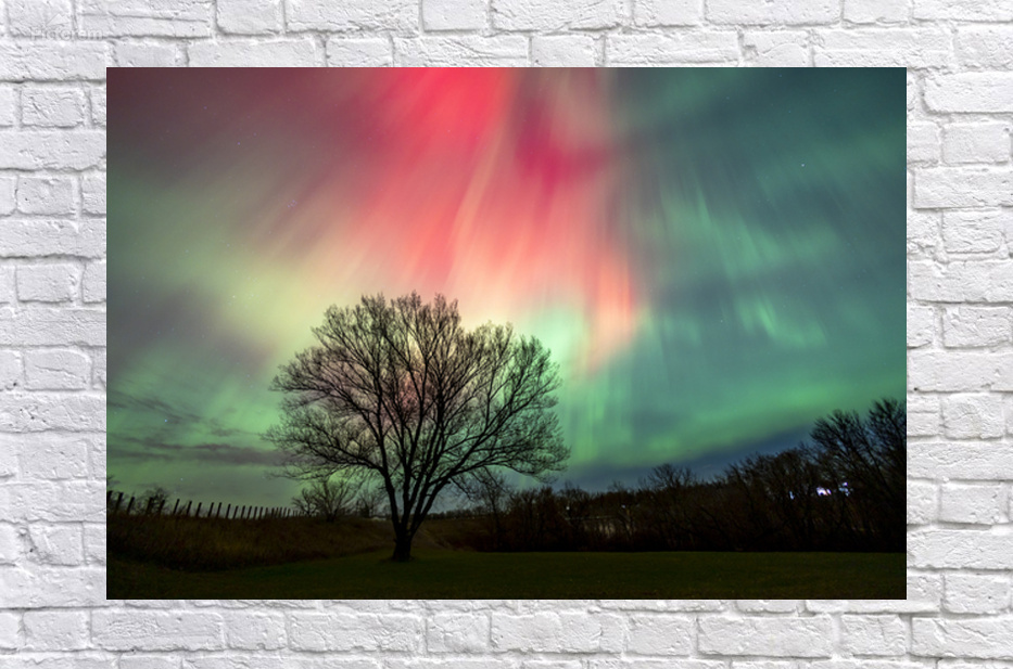 Cosmic Flames by Marc Gilbert Photography