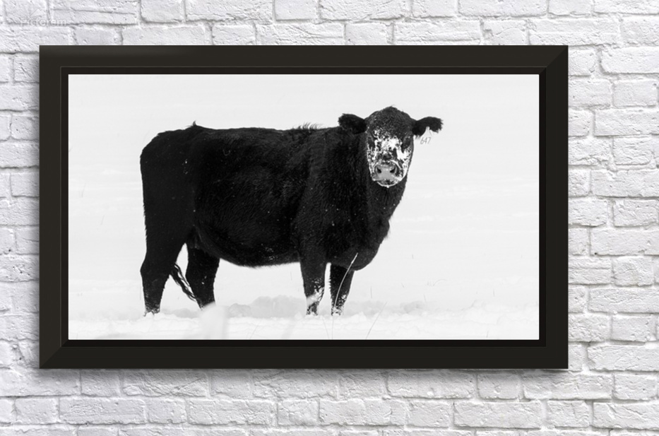 647 Tribulations - Lassen County California by Mike Lee