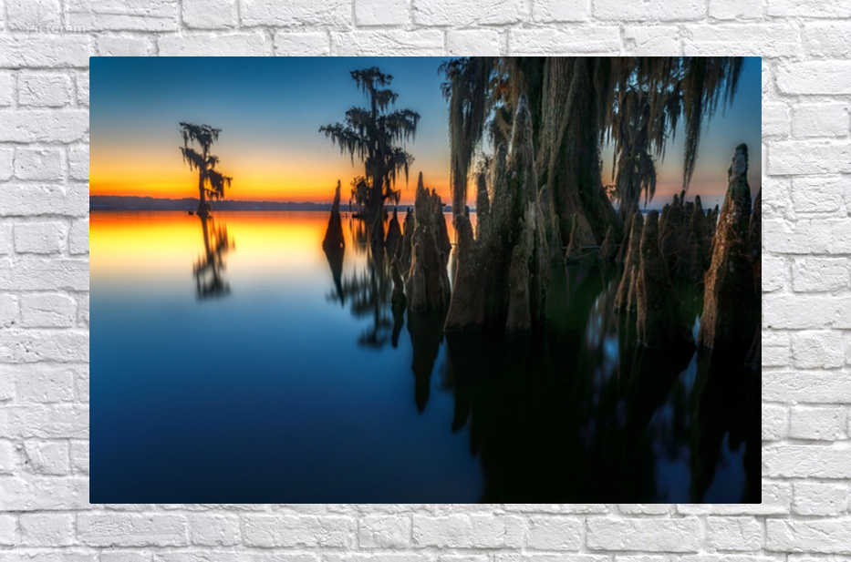 Dawn in Louisiana by Rick Berk