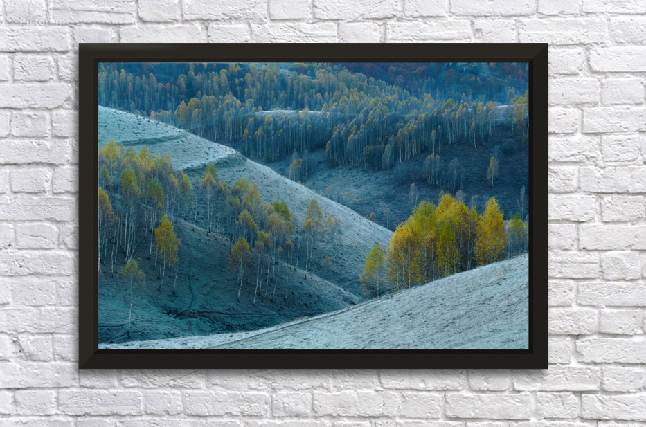 Between fall and winter by 1x