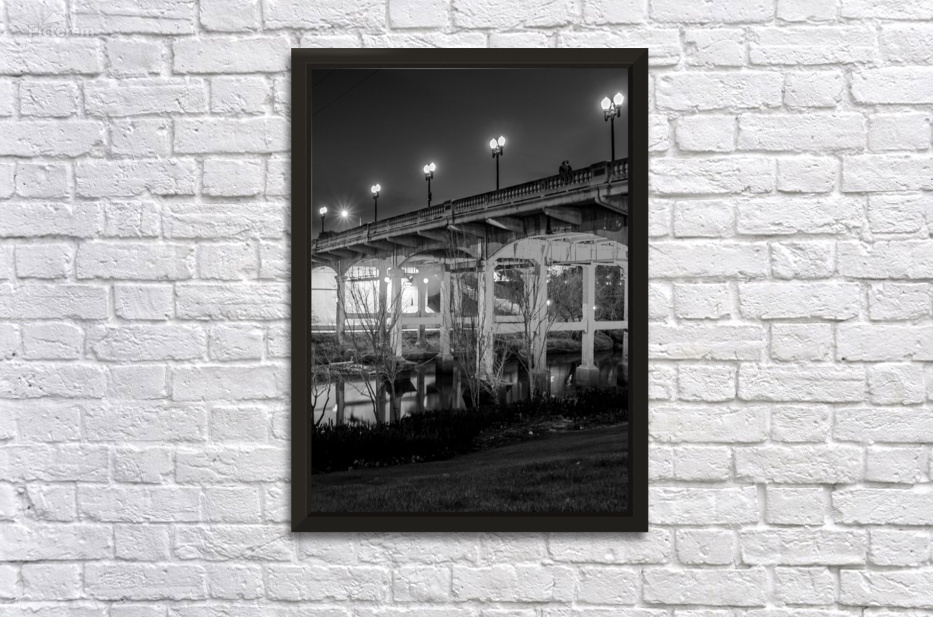 sabine bridge elanor tinsley park  vertical 3282 by Black And White