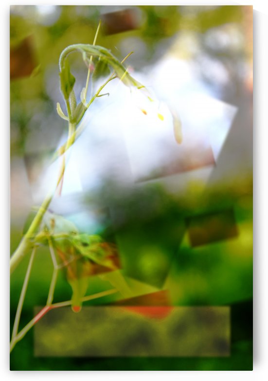 Tige printanière by Guy Charest