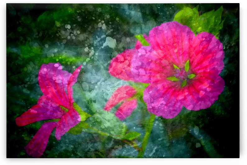 Fleurs d'artifices by Guy Charest