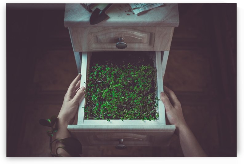 Avoir la main verte by 1x