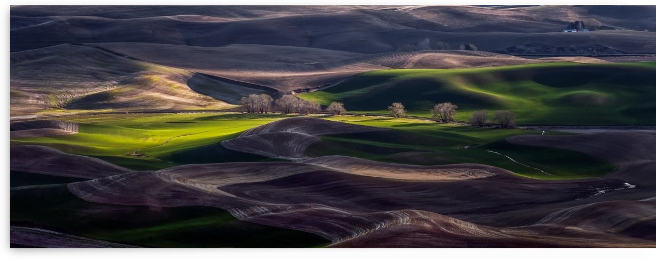 Last Light Of The Day by 1x