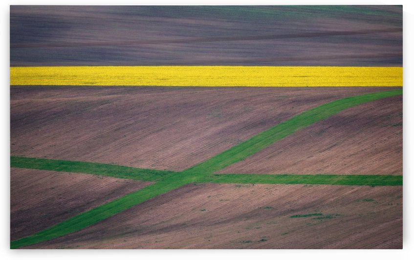 Painting the fields by 1x