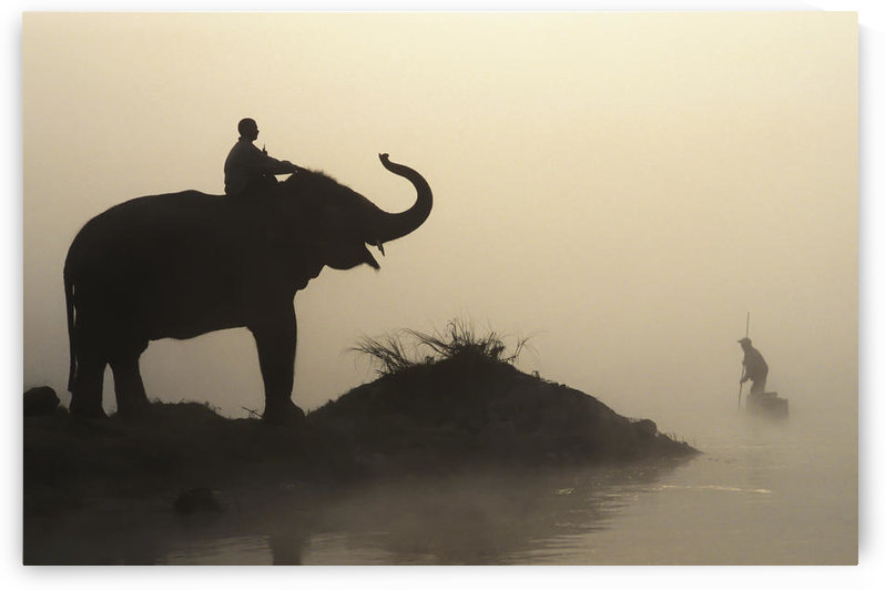 An Elephant With Its Mahout Stand At The Edge Of The Rapti River Near Sauraha And Chitwan National Park As A Man Pushes His Dugout Canoe Along The River; Nepal by PacificStock