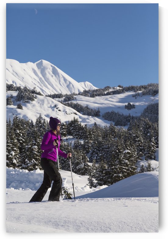 Woman snowshoeing on a sunny day at Turnagain Pass, Kenai Peninsula, Chugach National Forest, Southcentral Alaska, Winter by PacificStock