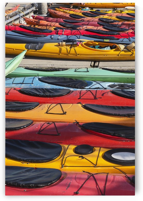 Multi-coloured kayaks together at boat dock, Prince William Sound; Valdez, Alaska, United States of America by PacificStock