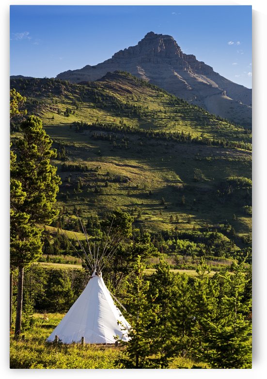 Large white canvas teepee in a treed field with green hillside and mountain peak in the background; Waterton, Alberta, Canada by PacificStock